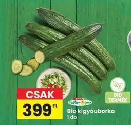 Interspar Bio kígyóuborka ajánlat