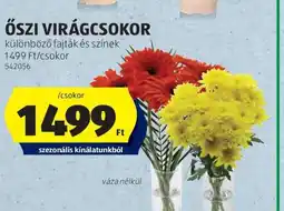 ALDI Őszi virágcsokor ajánlat
