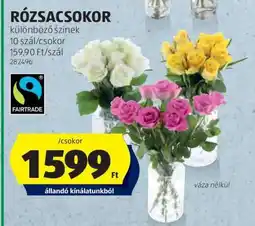 ALDI RÓZSACSOKOR ajánlat