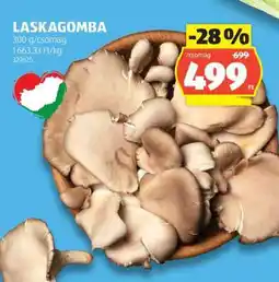 ALDI Laskagomba ajánlat