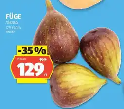 ALDI Füge ajánlat