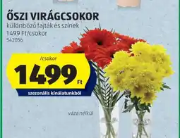 ALDI Őszi virágcsokor ajánlat