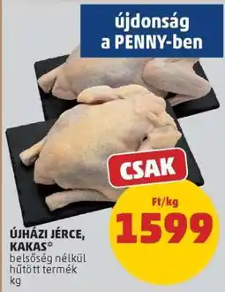PENNY ÚJHÁZI JÉRCE, KAKAS ajánlat