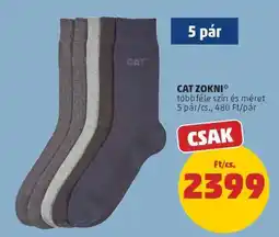 PENNY CAT ZOKNI ajánlat