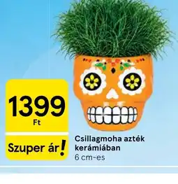 Tesco Csillagmoha azték kerámiában ajánlat