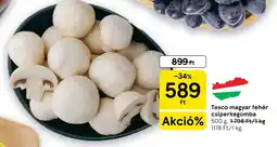 Tesco Tesco magyar fehér csiperkegomba ajánlat