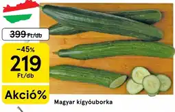 Tesco Magyar kígyóuborka ajánlat