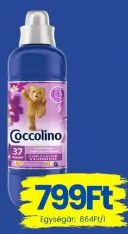 Magnetic Coccolino ajánlat