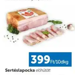 PRIVÁT Sertéslapocka ajánlat