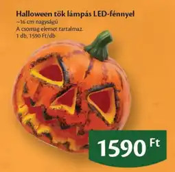 EcoFamily Halloween tők lámpás ajánlat