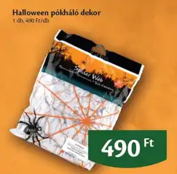 EcoFamily Spider Web ajánlat