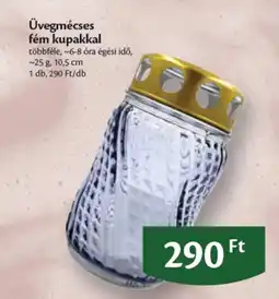 EcoFamily Üvegmécse ajánlat