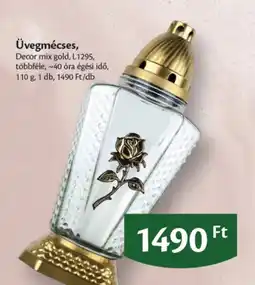 EcoFamily Üvegmécse ajánlat