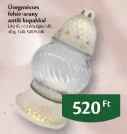 EcoFamily Üvegmécse ajánlat