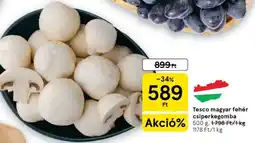 Tesco Tesco magyar fehér csiperkegomba ajánlat