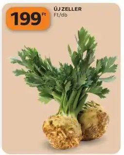 Auchan Új zeller ajánlat