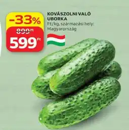 Auchan Kovászolni való uborka ajánlat