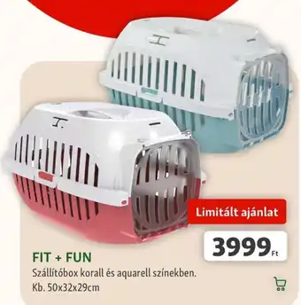 Fit + Fun szállítóbox