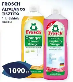 Azúr Frosch általános tisztító ajánlat