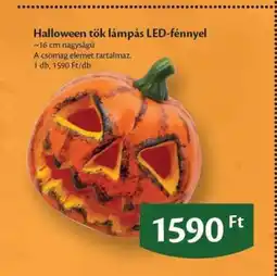 EcoFamily Halloween tök lámpás LED-fénnyel ajánlat