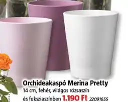 Bauhaus Orchideakaspó Merina Pretty ajánlat