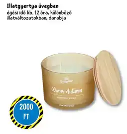 Tedi Illatgyertya üvegben ajánlat