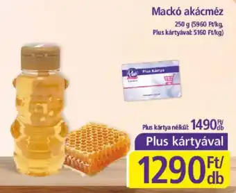 Mackó akácmez