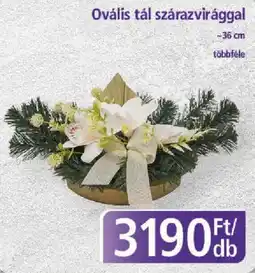 PlusMarket Ovális tál szárazvirággal ajánlat