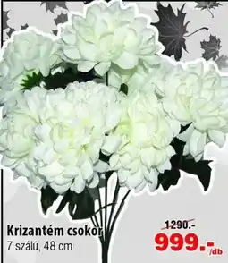 Vianni Drogéria Krizantém csokor ajánlat