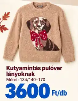 Pepco Kutyamintás pulóver ajánlat