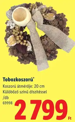 Lidl Tobozkoszorú ajánlat
