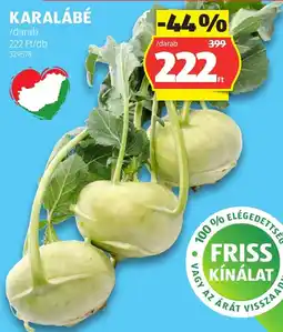 ALDI Karalábé ajánlat
