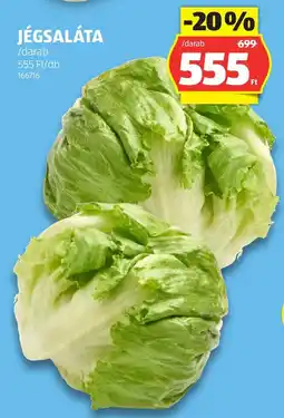 ALDI jégsaláta ajánlat