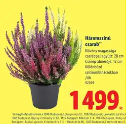 Lidl Háromszínű csarab ajánlat