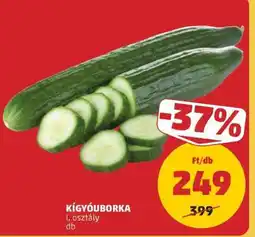 PENNY Kígyóuborka ajánlat
