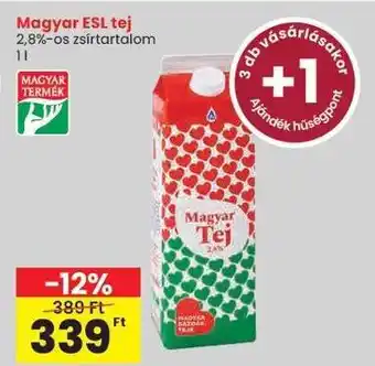 Magyar ESL tej