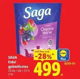Lidl SAGA ajánlat