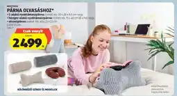 ALDI Párna olvasáshoz ajánlat