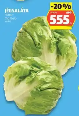ALDI Jégsaláta ajánlat