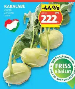 ALDI Karalábé ajánlat