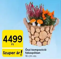 Tesco Öszi kompozíció fakaspóban ajánlat