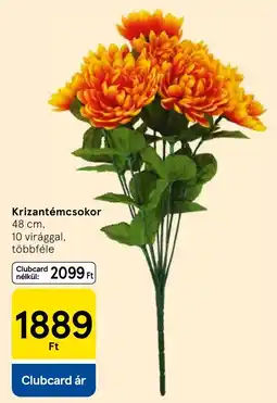 Tesco Krizantémcsokor ajánlat