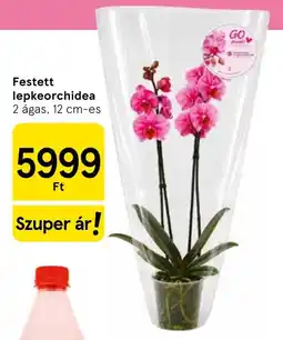 Tesco Go pura festett lepkeorchidea ajánlat