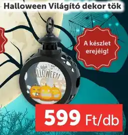 PRIVÁT Halloween Világító dekor ajánlat