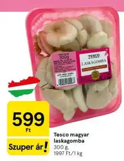 Tesco Tesco magyar laskagomba ajánlat
