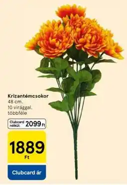 Tesco Krizantémcsokor ajánlat