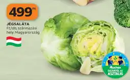 Auchan Jégsaláta ajánlat
