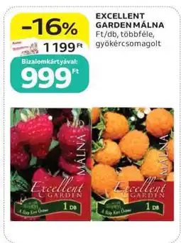 Auchan EXCELLENT GARDEN MÁLNA ajánlat