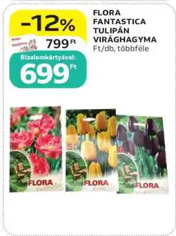 Auchan FLORA FANTASTICA TULIPÁN VIRÁGHAGYMA ajánlat