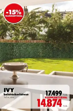 Diego Ivy belátáskorlátozó ajánlat